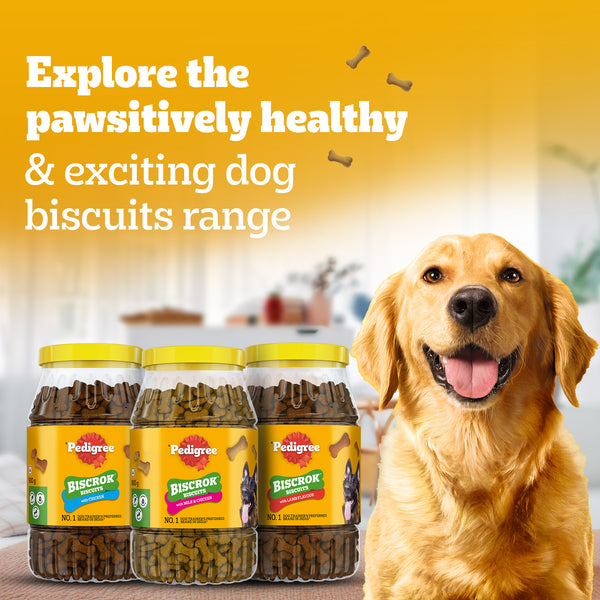 Pedigree Chicken with Milk Flavour (4+ Months) Biscrok Biscuits Jar Treats for Dogs