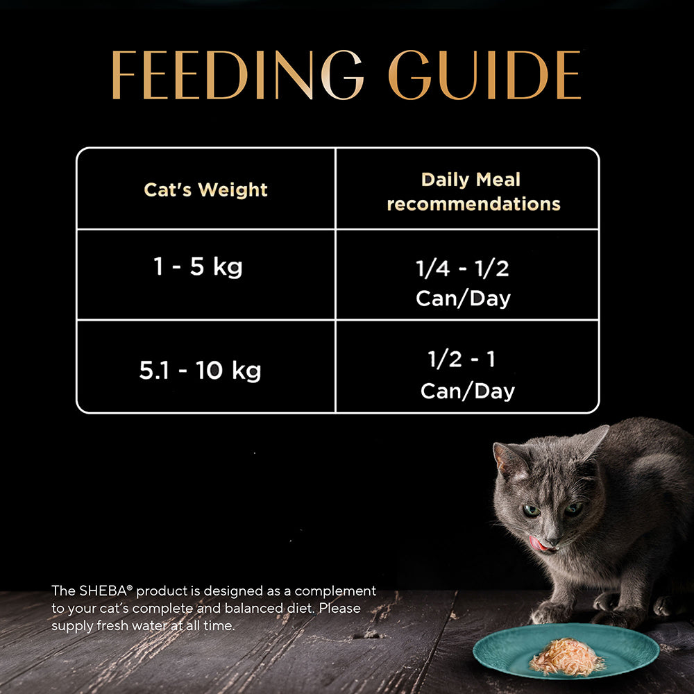Sheba Pure Tuna Filets in Jelly Premium Cat Wet Food Cats-Wet Food Sheba