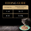 Sheba Fish with Dry Skipjack Premium Cat Wet Food Cats-Wet Food Sheba