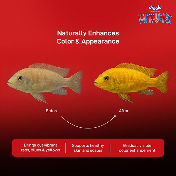 Drools Finsters Cichlid Fish Food