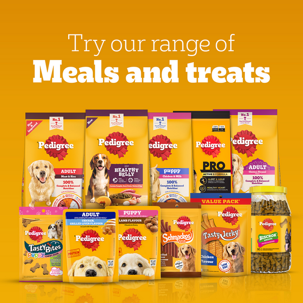 Pedigree Chicken Flavour Tasty Jerky Dog Treat
