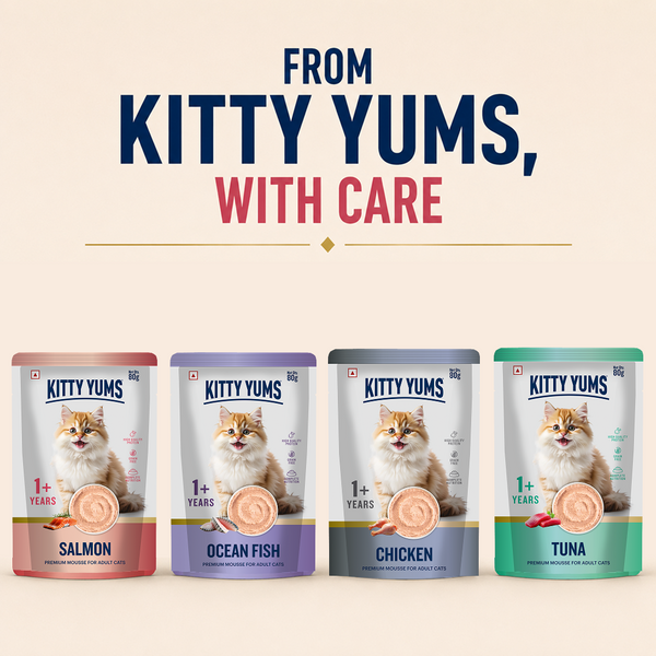 Kitty Yum Salmon Mousse Adult Cat Wet Food