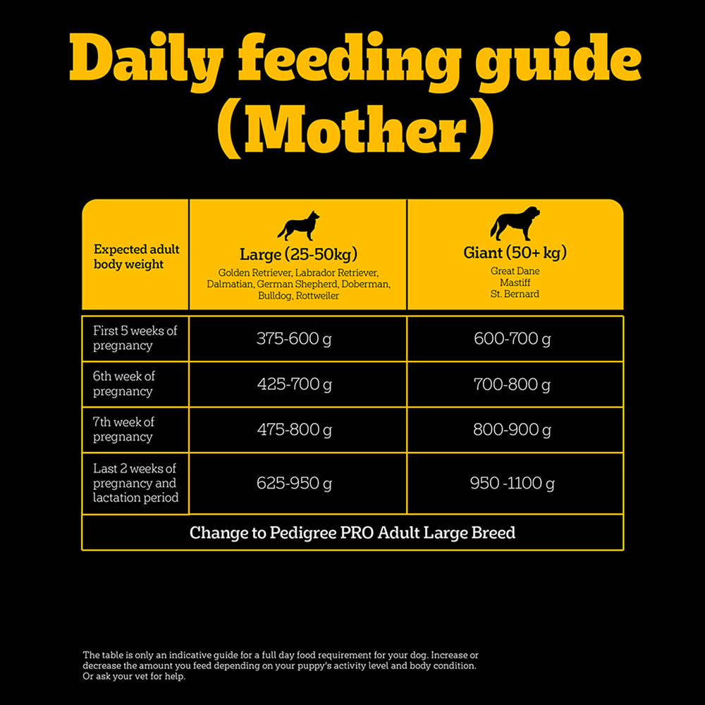 Pedigree PRO Expert Nutrition Lactating/Pregnant Mother & Puppy Starter(3 to 12 Weeks) Large Breed Dog Dry Food Dogs- Dry Food Pedigree PRO