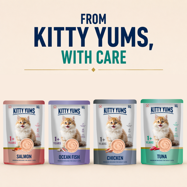 Kitty Yum Tuna Mousse Adult Cat Wet Food