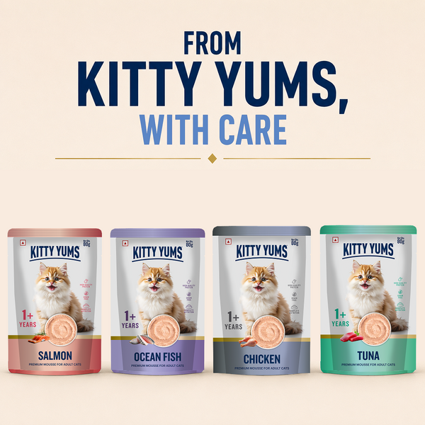 Kitty Yum Chicken Mousse Adult Cat Wet Food