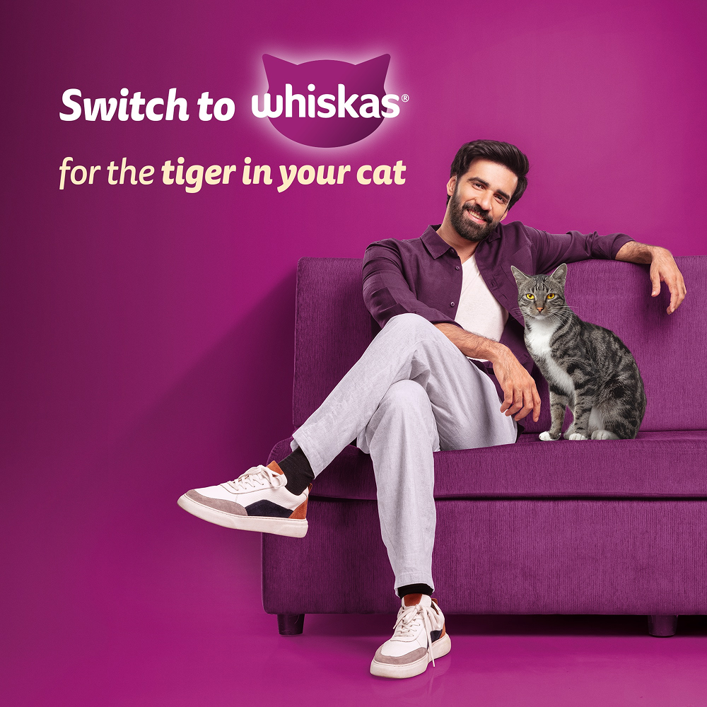 Whiskas Adult Complete Meal Combo |Tuna Dry & Wet Cat Food Cats- Dry food Whiskas