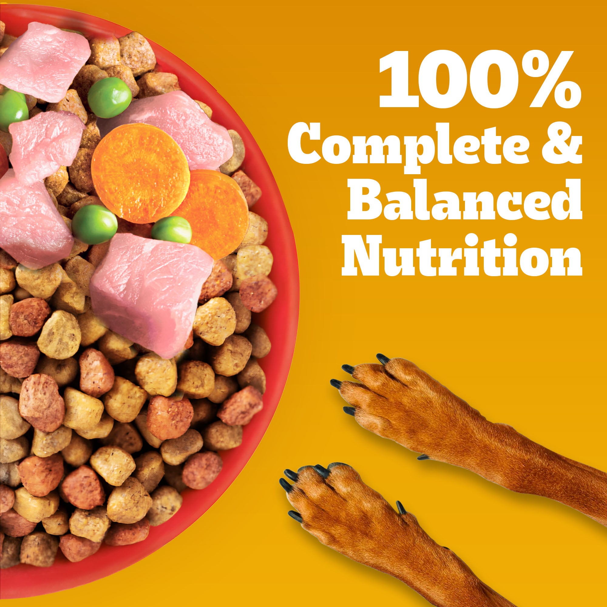 Pedigree Chicken and Vegetables Adult Dry Dog Food Dogs- Dry Food Pedigree