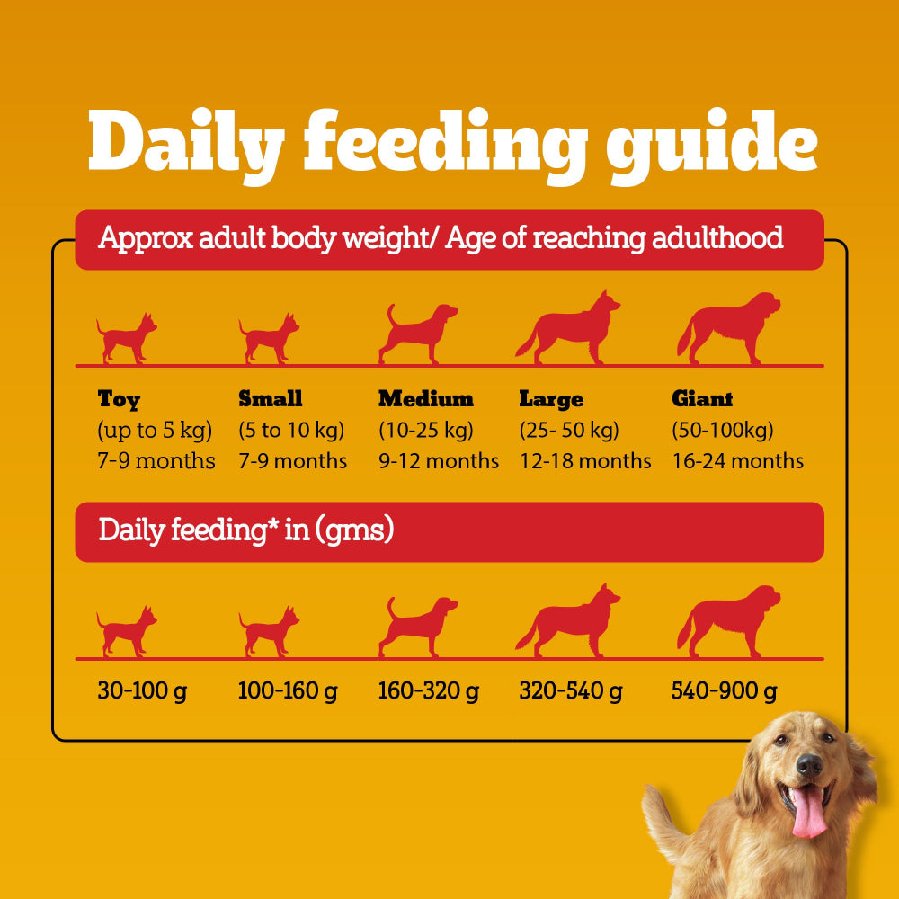 Pedigree 100% Vegetarian Puppy and Adult Veg Dog Dry Food Dogs- Dry Food Pedigree