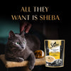 Sheba Tuna Pumpkin & Carrot In Gravy Rich Premium Adult Fine Cat Wet Food Cats-Wet Food Sheba
