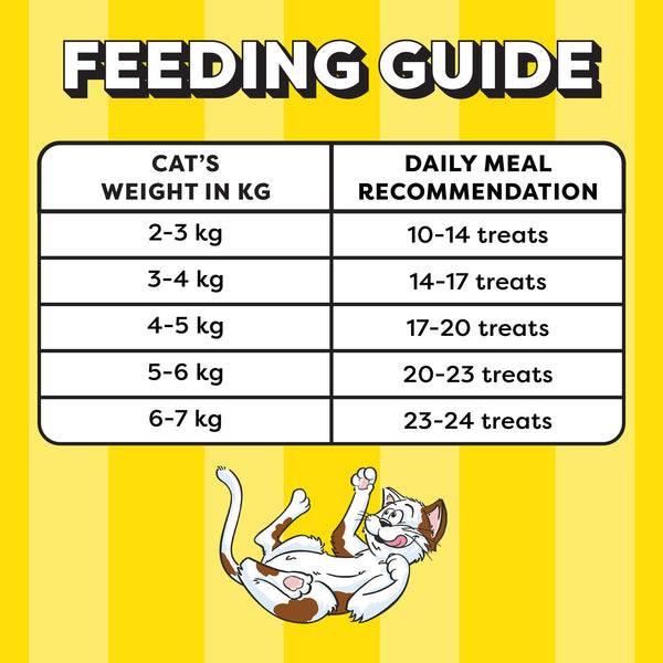 Temptations Tasty Chicken Flavour Cat Treats