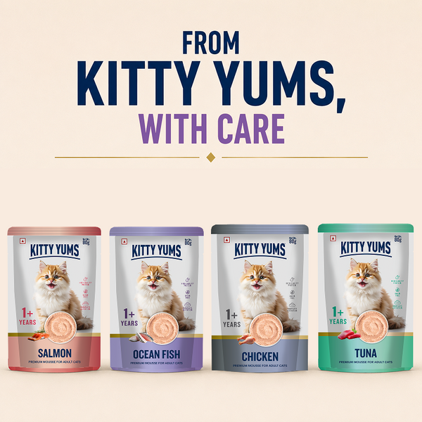 Kitty Yum Ocean Fish Mousse Cat Wet Food