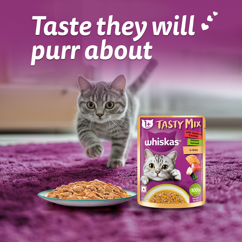 Whiskas Adult Wet Cat Food Combo |Chicken, Tuna & Seafood (Jelly & Gravy) Cats-Wet Food Whiskas