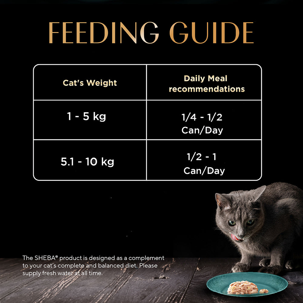 Sheba Tuna Fillet & Whole Prawns in Gravy Premium Cat Wet Food Cats-Wet Food Sheba