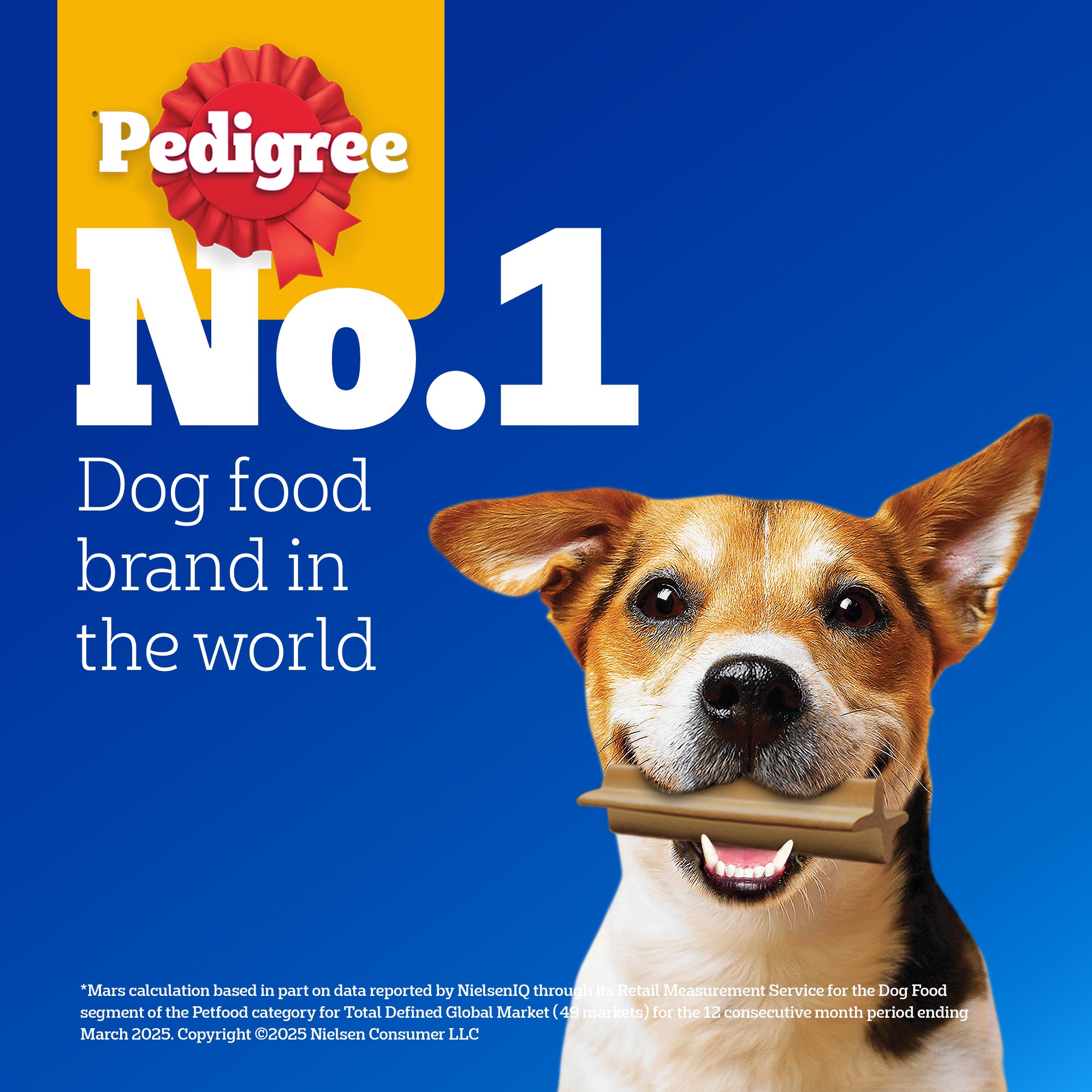 Pedigree Dentastix Oral Care for Adult (Large Breed of 25 kg+) Dog Treats