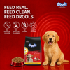 Drools Chicken and Egg Puppy Dog Dry Food Dogs- Dry Food Drools