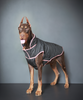 Pet Set Go Wind Sheeter Jackets for Dogs (Black) Dogs-Clothing & Accessories Pet Set Go Dropship