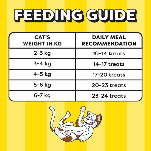 Temptations Savoury Salmon Flavour Cat Treats