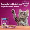 Whiskas Tuna in Jelly Kitten Cat Wet Food (80g) Cats-Wet Food Whiskas
