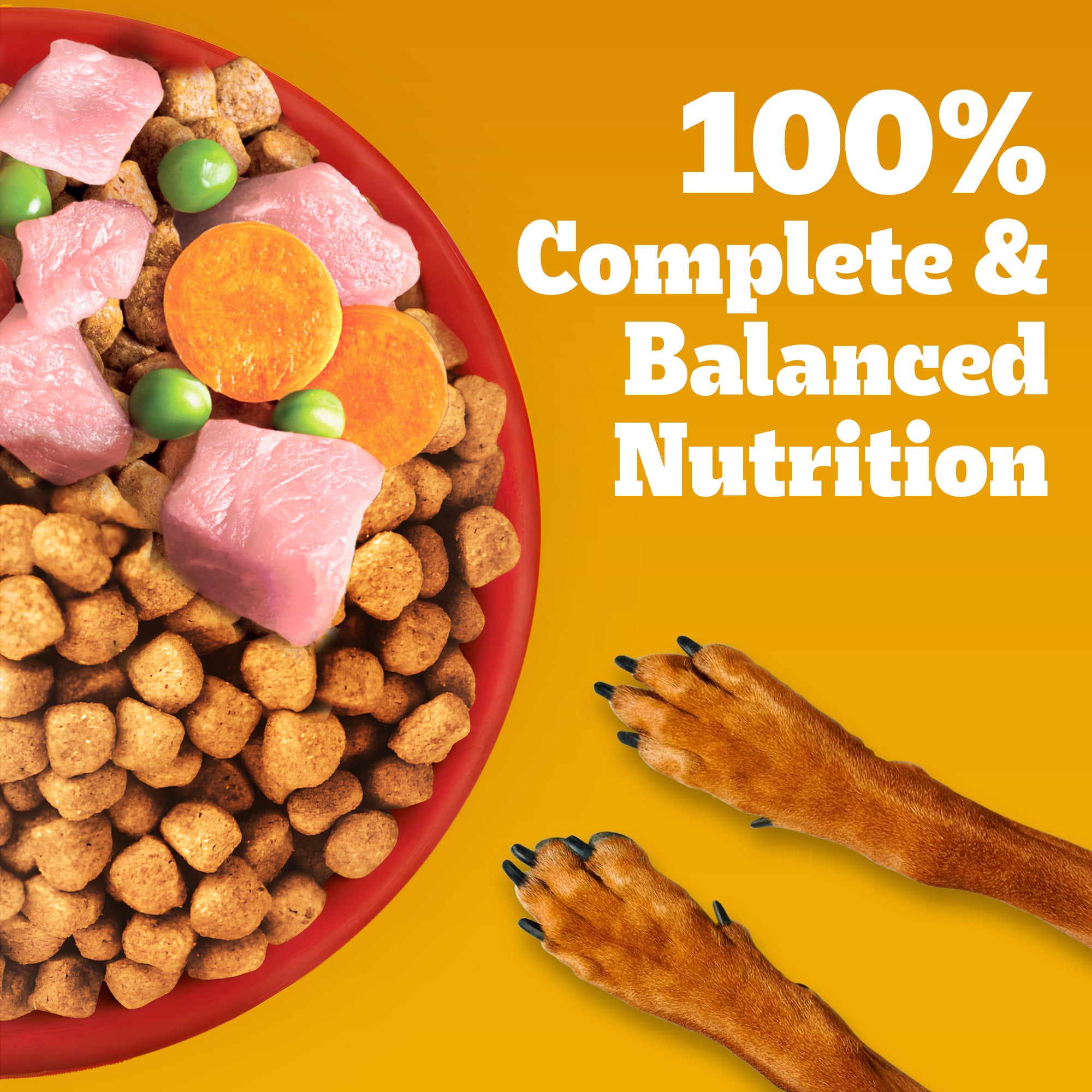 Pedigree Meat & Rice Adult Dog Dry Food Dogs- Dry Food Pedigree