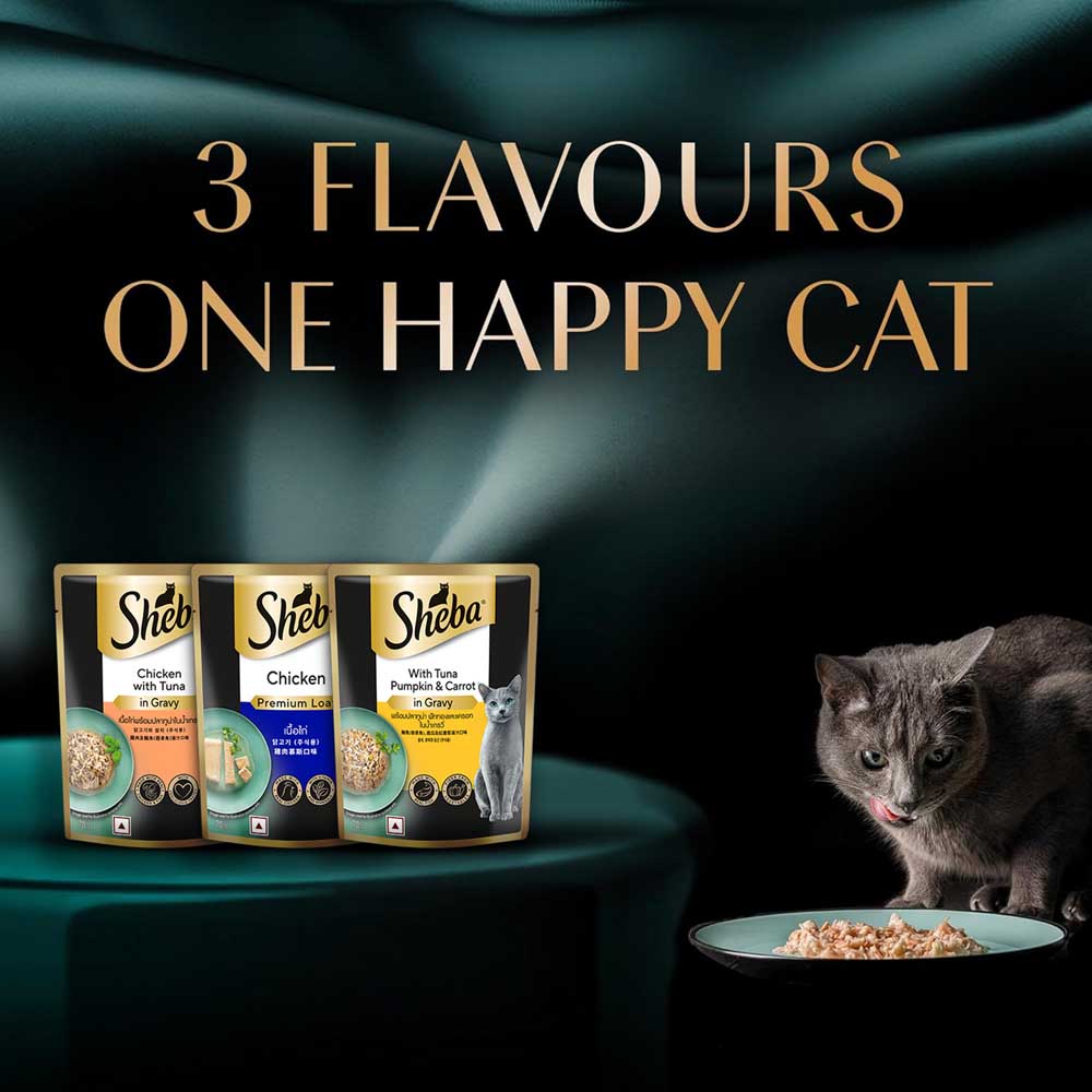 Sheba Chicken Loaf Rich Premium Kitten (2 to 12 Months) Fine Cat Wet Food Cats-Wet Food Sheba