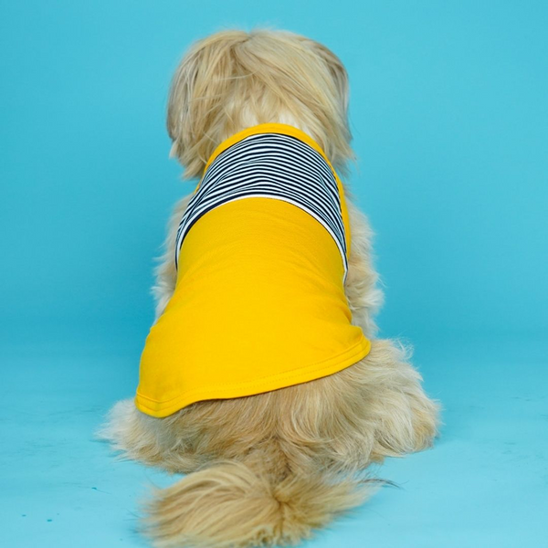 Pets Way Fetch Vest Combo for Dogs (Pack of 3)