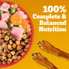 Pedigree Chicken and Vegetables Adult Dog Dry Food Dogs- Dry Food Pedigree