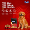 Drools Chicken and Egg Adult Dog Dry Food Dogs- Dry Food Drools