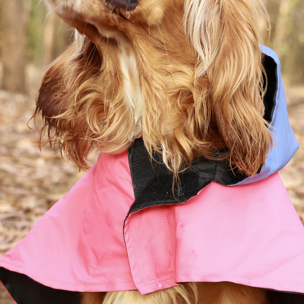 Pet Set Go Dual Colour Cape Style Raincoat for Dogs (Pink) Dogs-Clothing & Accessories Pet Set Go