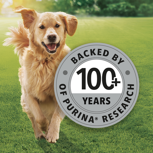 Purina Friskies Meat Adult Dog Dry Food