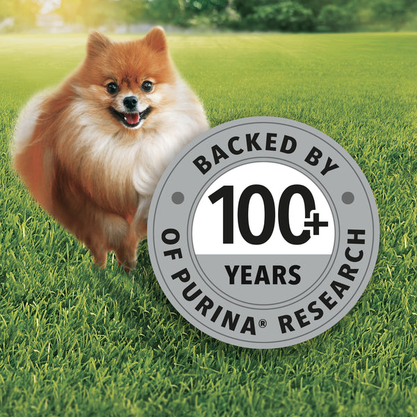 Purina Friskies Chicken Small Breed Adult Dog Food