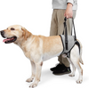 KUTKUT Rehabilitation Sling Hind Limb Support Lift Harness for Dogs (Grey) Dogs-Collar, Leashes, harnesses KUTKUT Dropship L