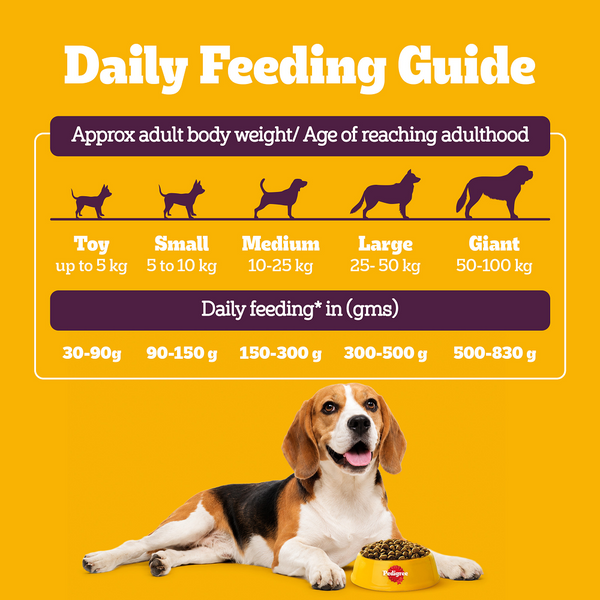 Pedigree New Healthy Belly Adult Dog Dry Food