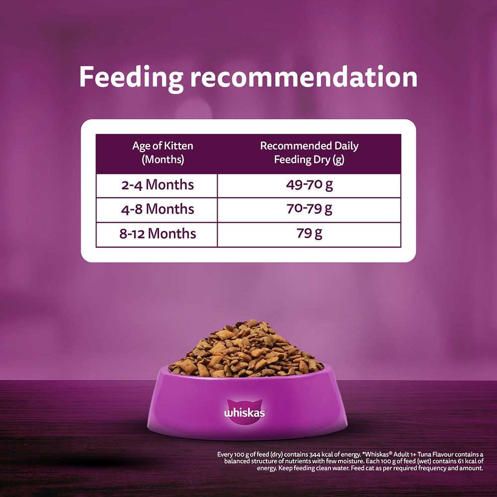 Whiskas Ocean Fish Kitten Cat Dry Food Cats- Dry food Whiskas