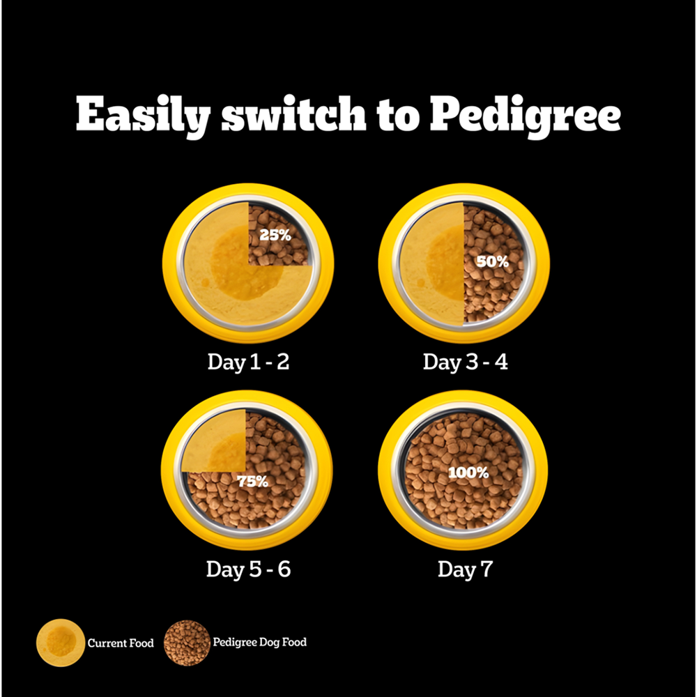 Pedigree PRO Expert Nutrition for Large Breed Puppy(3 to 18 Months) Dry Food Dogs- Dry Food Pedigree PRO