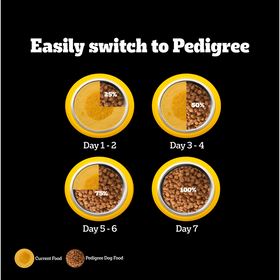 Pedigree PRO Expert Nutrition for Large Breed Puppy (3 to 18 Months) Dog Dry Food Dogs- Dry Food Pedigree PRO