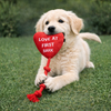 Pawgypets Love at First Bark Doggo Plush with Rope Toy for Dogs (Red) Dogs-Toys Pawgypets Dropship