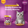 Sheba Tuna Pumpkin & Carrot In Gravy and Whiskas Chicken in Gravy Cat Wet Food Combo Exclusive Combo Exclusive Combo