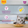 Sheba Tuna Pumpkin & Carrot In Gravy and Whiskas Chicken in Gravy Cat Wet Food Combo Exclusive Combo Exclusive Combo