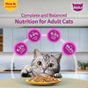 Sheba Tuna Pumpkin & Carrot In Gravy and Whiskas Chicken in Gravy Cat Wet Food Combo Exclusive Combo Exclusive Combo