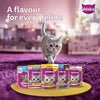Sheba Tuna Pumpkin & Carrot In Gravy and Whiskas Chicken in Gravy Cat Wet Food Combo Exclusive Combo Exclusive Combo