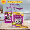 Sheba Tuna Pumpkin & Carrot In Gravy and Whiskas Chicken in Gravy Cat Wet Food Combo Exclusive Combo Exclusive Combo
