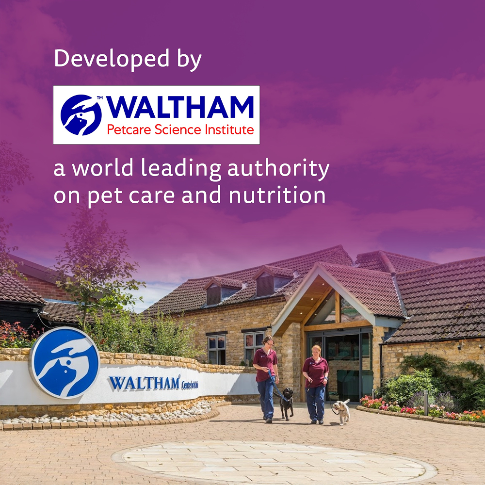 Whiskas Mackerel Flavour Kitten (2 to 12 months)Cat Dry Food Cats- Dry food Whiskas