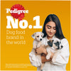 Pedigree Chicken & Liver Chunks in Gravy Puppy Wet Dog Food Dogs-Wet Food Pedigree