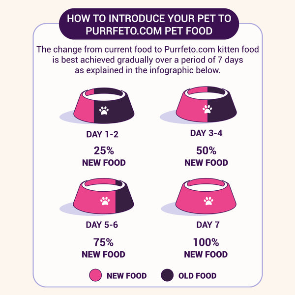 Purrfeto.com Ocean Fish Kitten Cat Dry Food