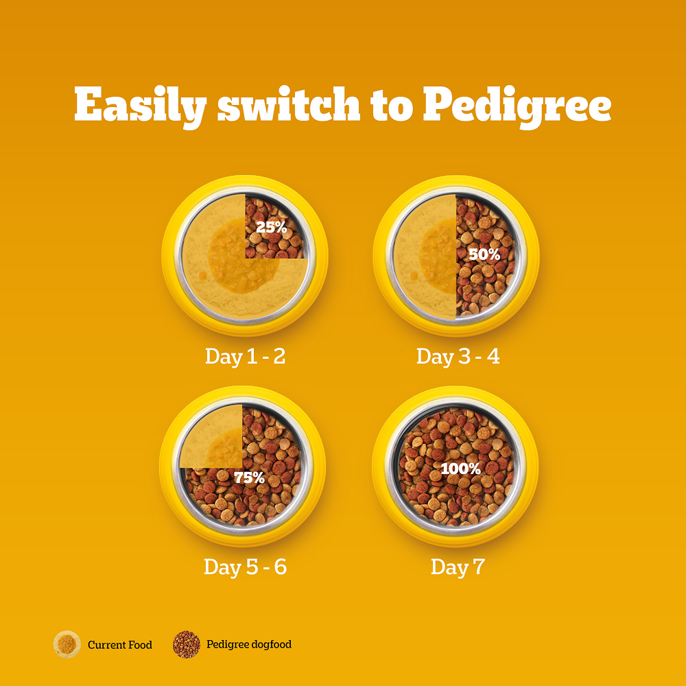 Pedigree Chicken and Milk Puppy Dog Dry Food Dogs- Dry Food Pedigree