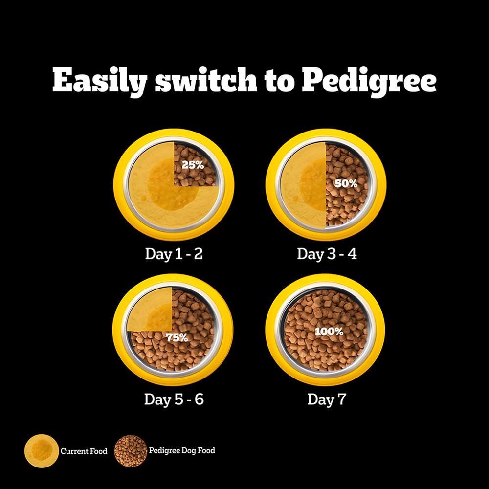 Pedigree PRO Expert Nutrition Small Breed Puppy (2 to 9 Months) Dry Food Dogs- Dry Food Pedigree PRO