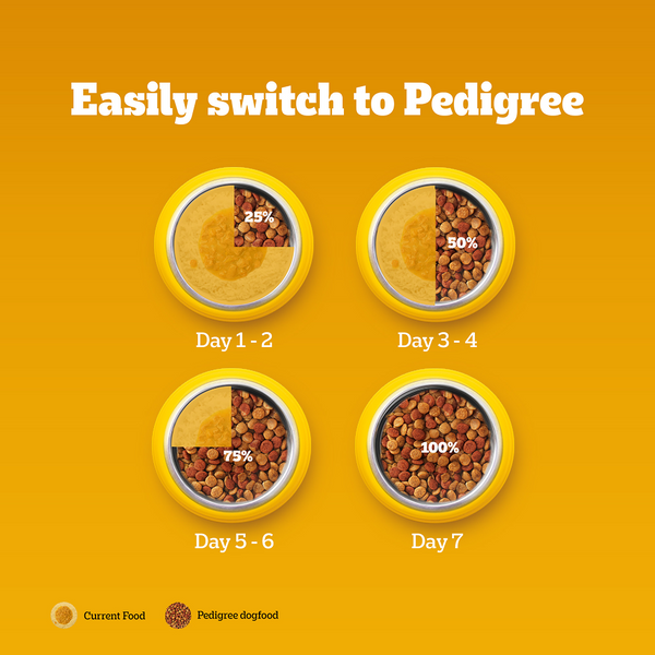 Pedigree Chicken and Milk Puppy Dog Dry Food