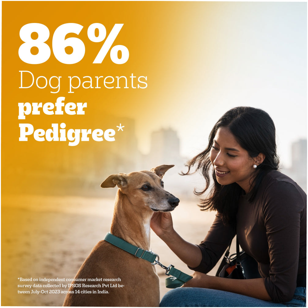 Pedigree Chicken and Liver Chunks in Gravy Adult Dog Wet Food (70g) Dogs-Wet Food Pedigree