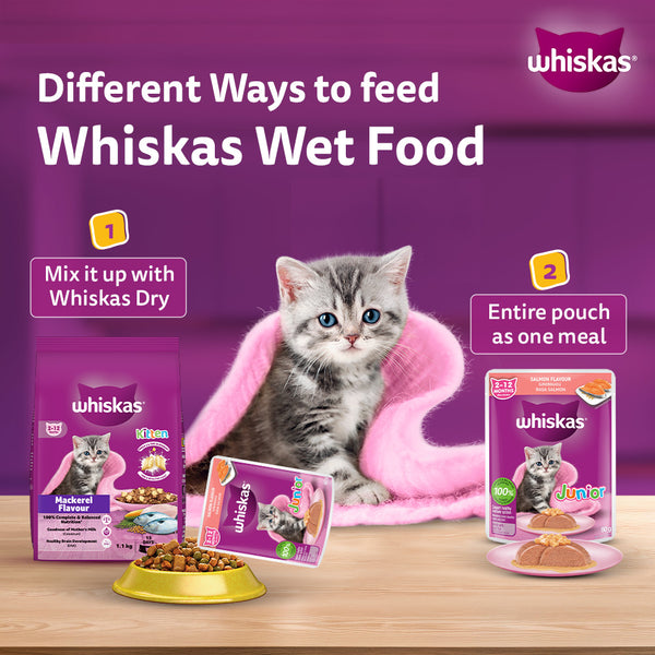 Whiskas Junior Salmon in Jelly Flavour Kitten (2-12 months) Cat Wet Food