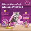 Whiskas Junior Salmon in Jelly Flavour Kitten (2-12 months) Cat Wet Food Cats-Wet Food Whiskas